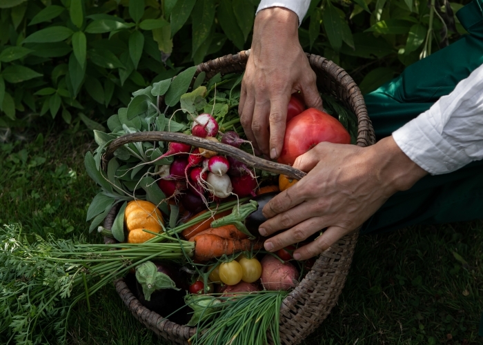 Potager